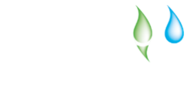 Bamboo For Life